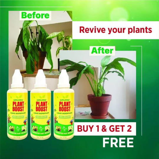 100% Organic Plant Boost Biofertilizer | BUY 1 GET 2 FREE | ⭐️⭐️⭐️⭐️ 4.9/5 Reviews