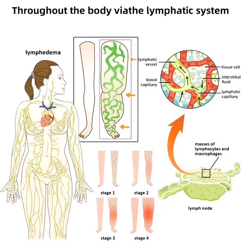 Bee Venom Lymphatic Drainage & Slimming Foot Patches 🌿👣10 Foot Patches!| BUY 1 GET 1 FREE | ⭐️⭐️⭐️⭐️ 4.9/5 Reviews