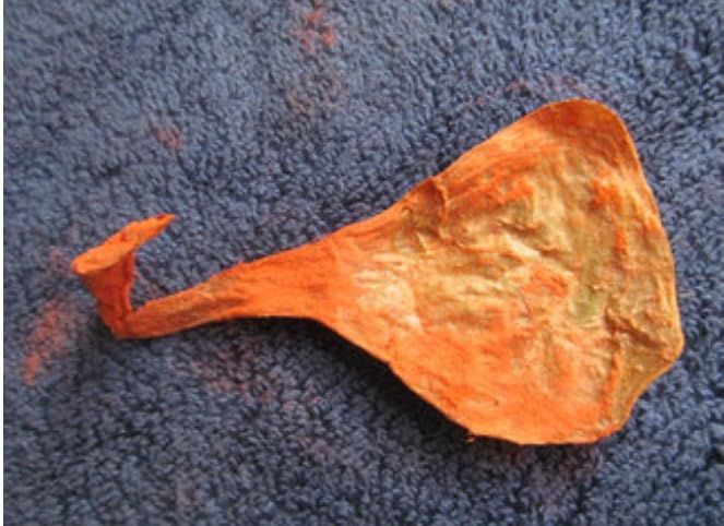 Energized Mantra Siddhi Billi ki Jer