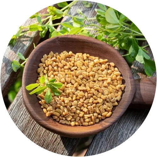 Arab Kings – Power of Arabian Kings, Now in India “Supports Daily Energy And Natural Wellness" Powder