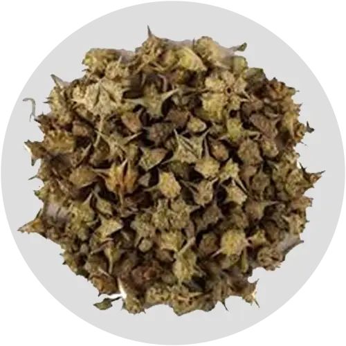 Arab Kings – Power of Arabian Kings, Now in India “Supports Daily Energy And Natural Wellness" Powder